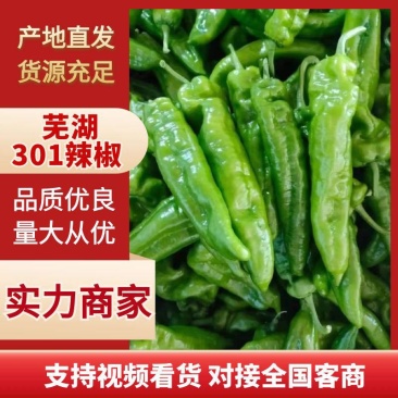 精品薄皮辣椒万亩基地电商货，超市货市场货，供不应求！