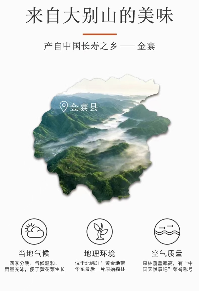 大别山金寨白玉木耳