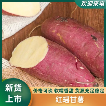 红瑶甘薯大量供应品质保障价格优惠