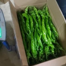 螺丝椒