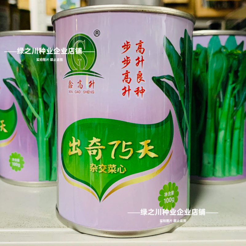 广东四季菜心种子出奇75天油绿菜心种子尖叶杂交甜脆油菜苔