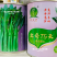 广东四季菜心种子出奇75天油绿菜心种子尖叶杂交甜脆油菜苔