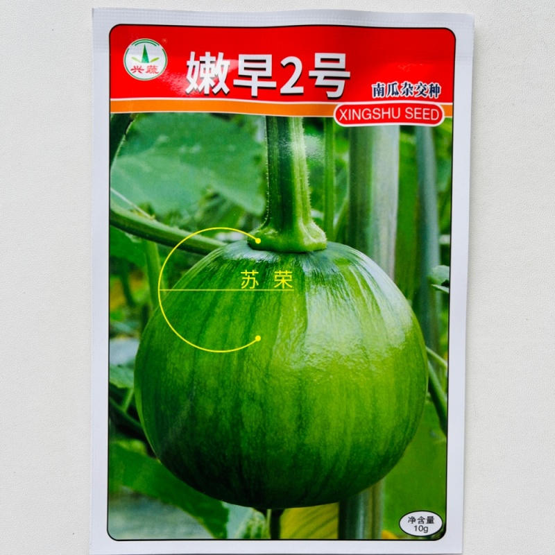 兴蔬嫩早2号南瓜种子早熟强雌耐寒膨果快蔓生座果强春秋季