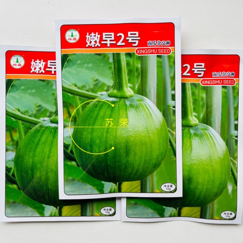 兴蔬嫩早2号南瓜种子早熟强雌耐寒膨果快蔓生座果强春秋季