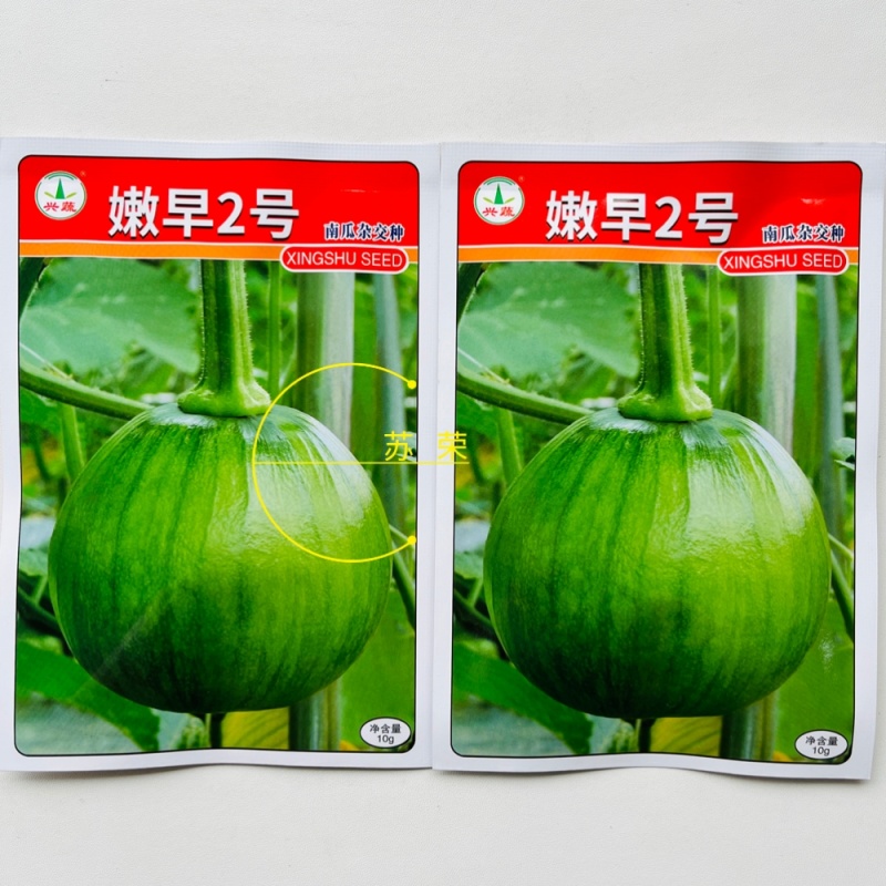 兴蔬嫩早2号南瓜种子早熟强雌耐寒膨果快蔓生座果强春秋季