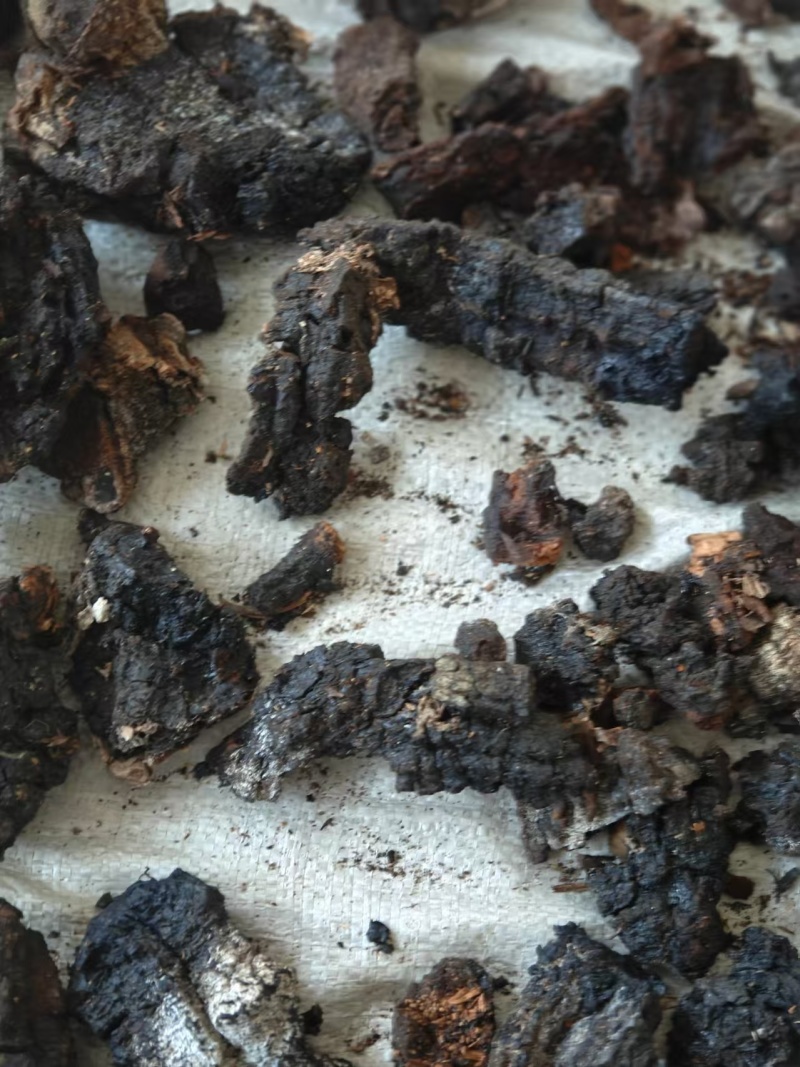 桦树茸黑晶，产地直发品质保证欢迎采购下单来电咨询