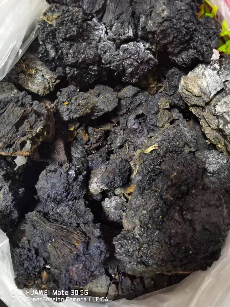 桦树茸黑晶，产地直发品质保证欢迎采购下单来电咨询