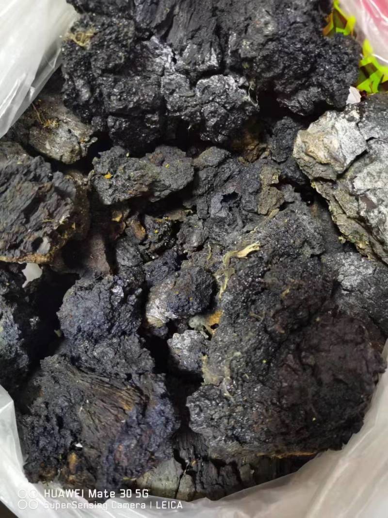 桦树茸黑晶，产地直发品质保证欢迎采购下单来电咨询