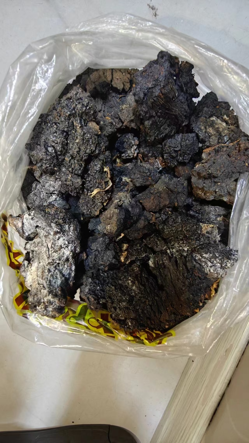 桦树茸黑晶，产地直发品质保证欢迎采购下单来电咨询