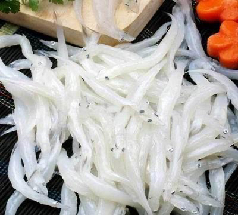 鸭绿江银鱼面条鱼