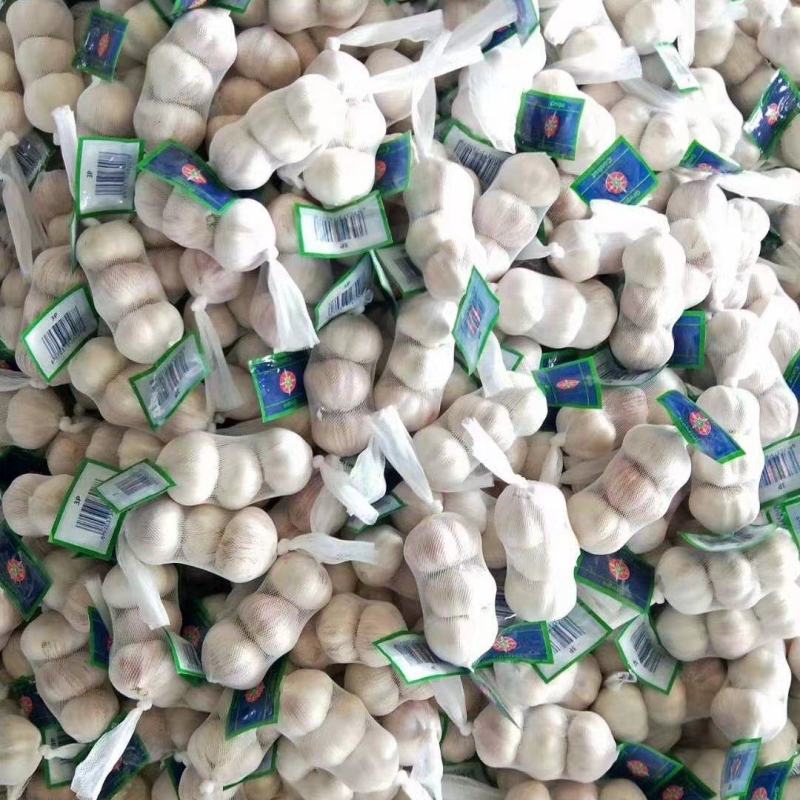 新鲜大蒜，农家自产，健康有机，口感鲜美，**特惠！