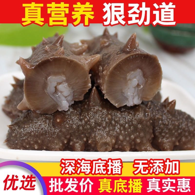 辽宁海参养殖原料刺参
