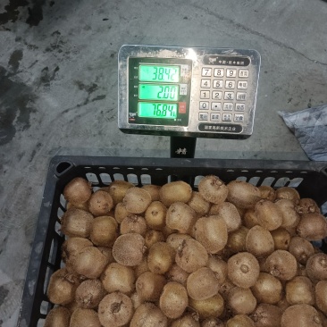 此冷库长年供应绿心，红心弥猴桃，量大从优，物超所值，欢迎