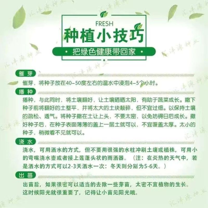 （包邮）韩国进口春白玉白萝卜种子四季播耐抽薹