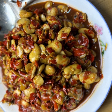 四川巴中传统豆瓣酱，四大食材，胡豆瓣，团葱，蒜瓣，红辣