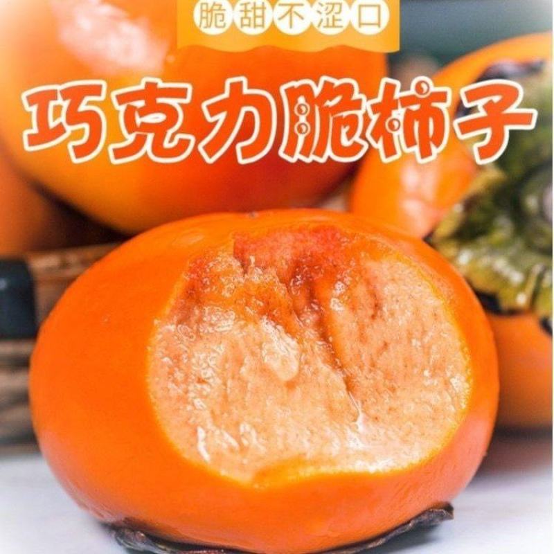 陕西正宗巧克力甜柿子，欢迎客商对接，一件代发