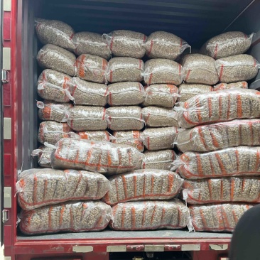 河南商丘花育地铁锅原味炒熟花生炒花生原味炒大花生电商批发