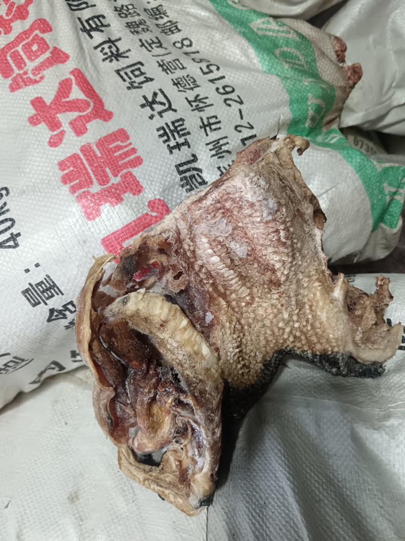精品去皮熟牛头肉，厂家直销保质保量欢迎老板电话联系