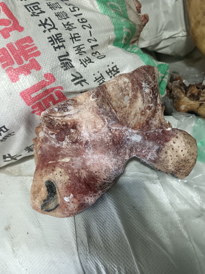 精品去皮熟牛头肉，厂家直销保质保量欢迎老板电话联系