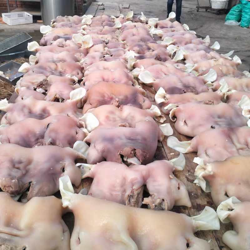 乳牛头肉，去骨熟牛头肉，纯手工去毛。
