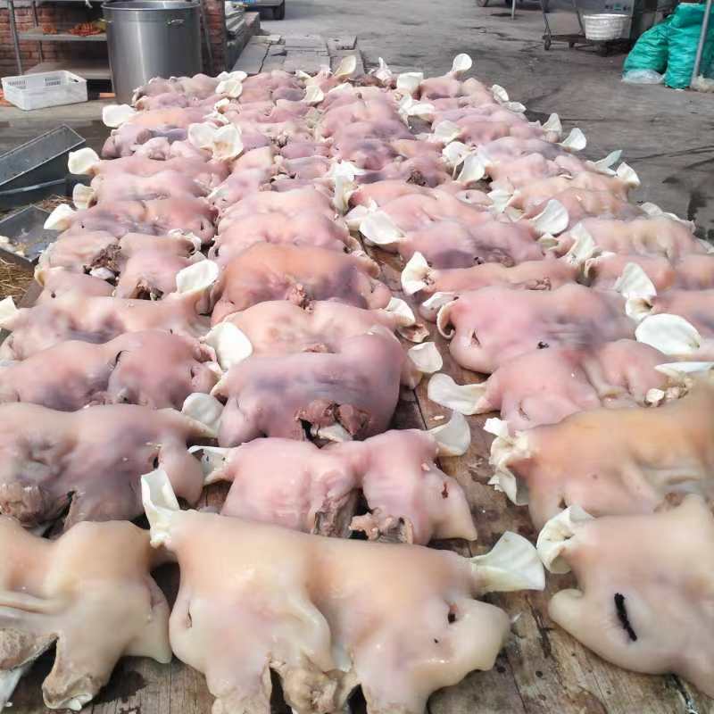 乳牛头肉，去骨熟牛头肉，纯手工去毛。