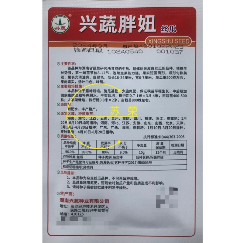 兴蔬胖妞圆筒形光皮白绿丝瓜种子中熟种籽瓜形匀称美观果
