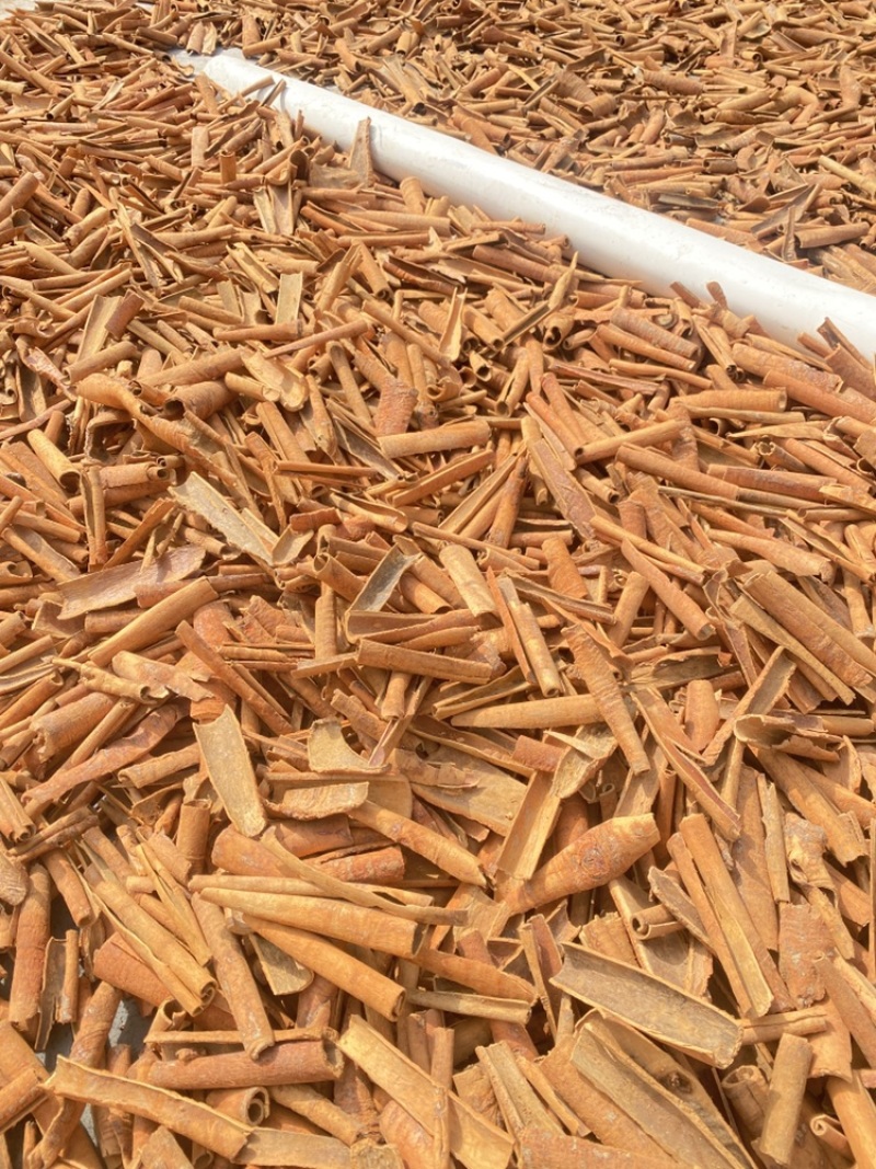 批发桂皮，段桂桂皮，厨房香料，卤味桂皮，筒桂皮调味品深山皮