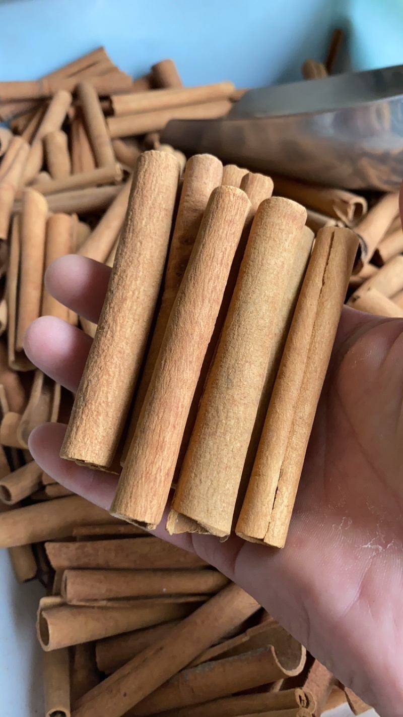 批发桂皮，段桂桂皮，厨房香料，卤味桂皮，筒桂皮调味品深山皮