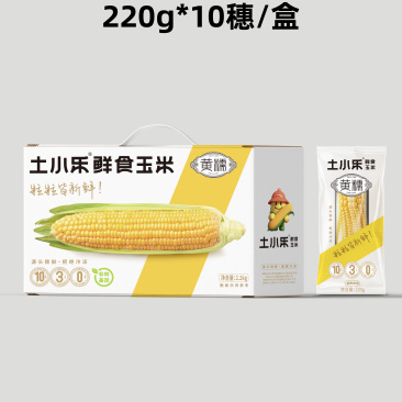 【品名】黄糯【产地】黄淮海平原