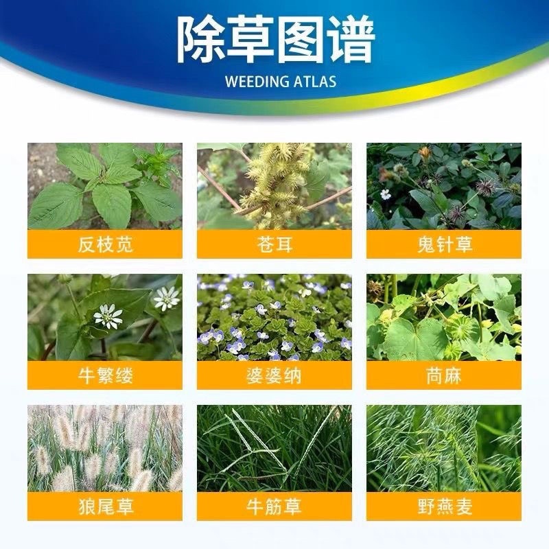 丰化憨宝滁根正品93%2甲·草甘膦灭生性非耕地除草剂