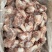 多肉羊棒骨