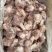 多肉羊棒骨