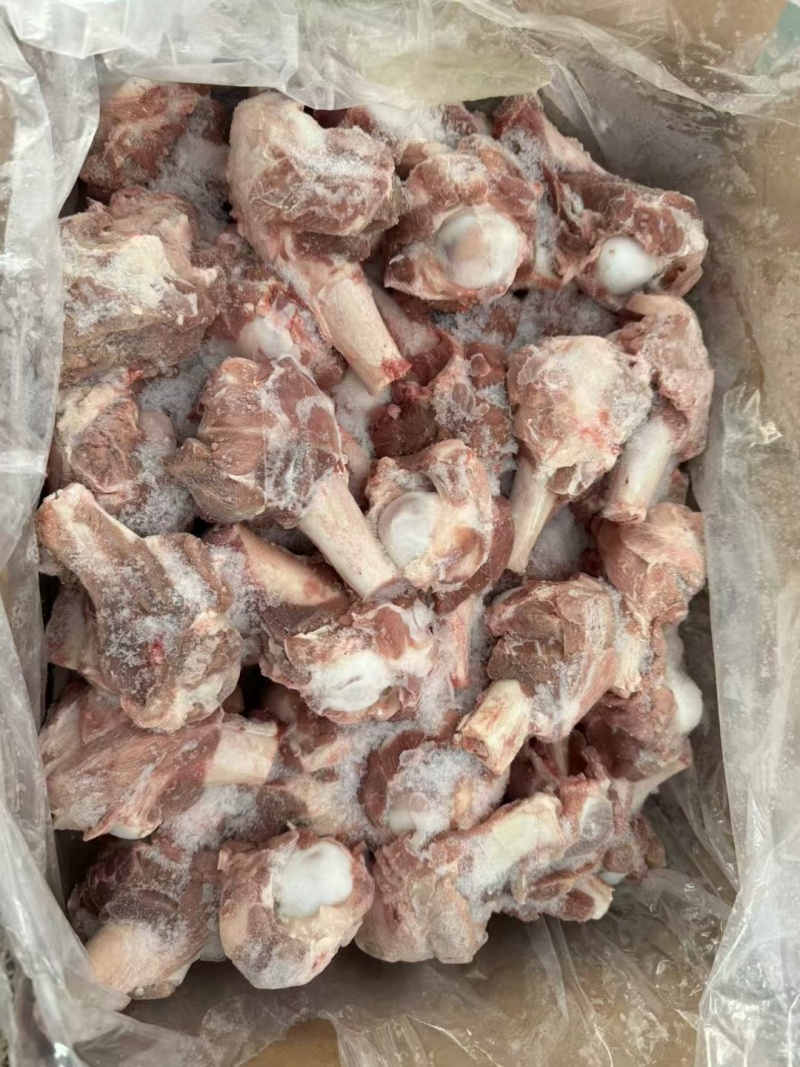 多肉羊棒骨