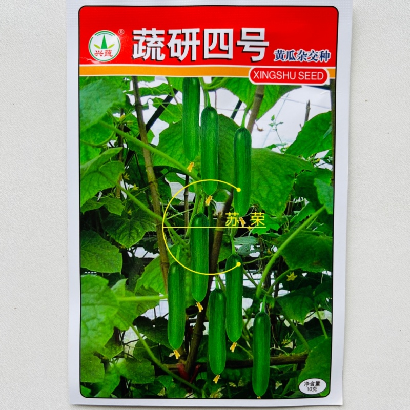 蔬研四号水果黄瓜种子无刺小油瓜耐寒全雌四季脆甜迷你小黄瓜