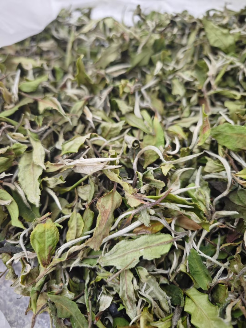 精品普洱茶