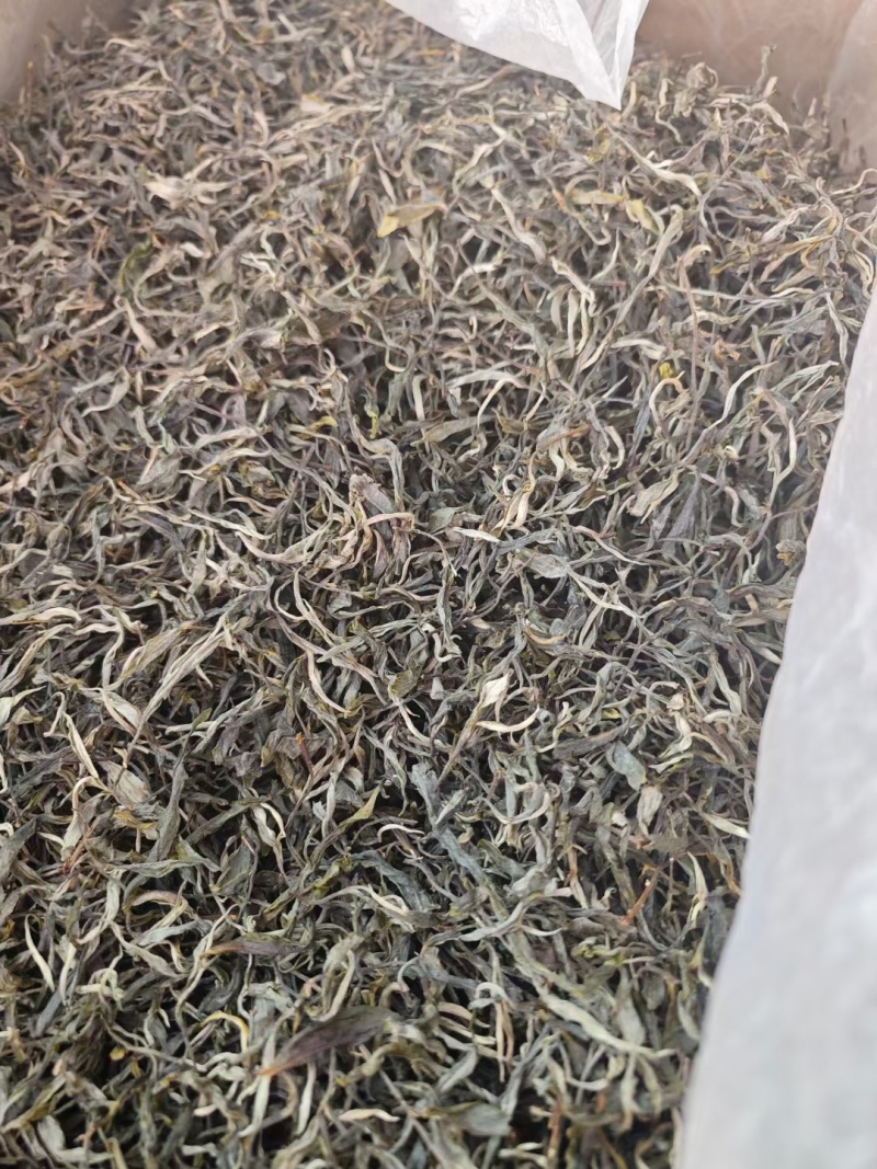 精品普洱茶