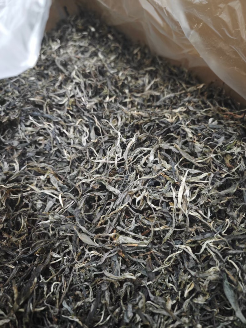 精品普洱茶