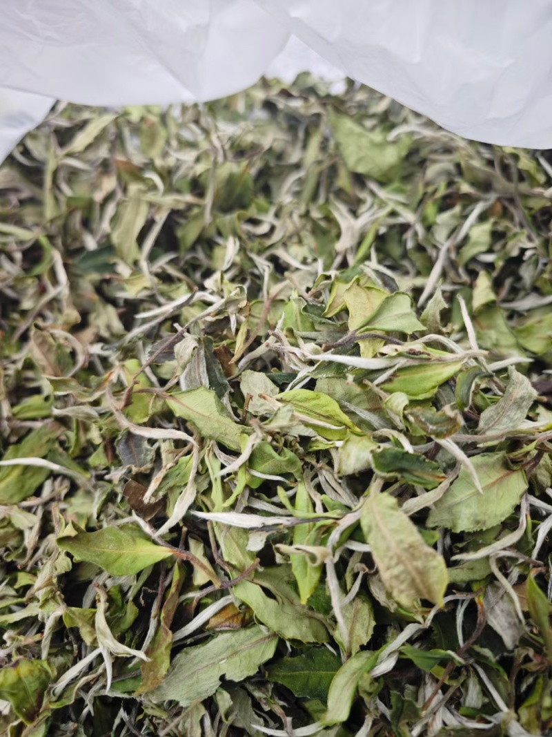 精品普洱茶
