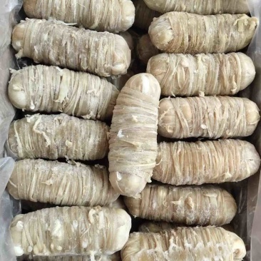 小肠卷，半成品，适合餐饮卤肉店等，全国冷链物流发货！！！