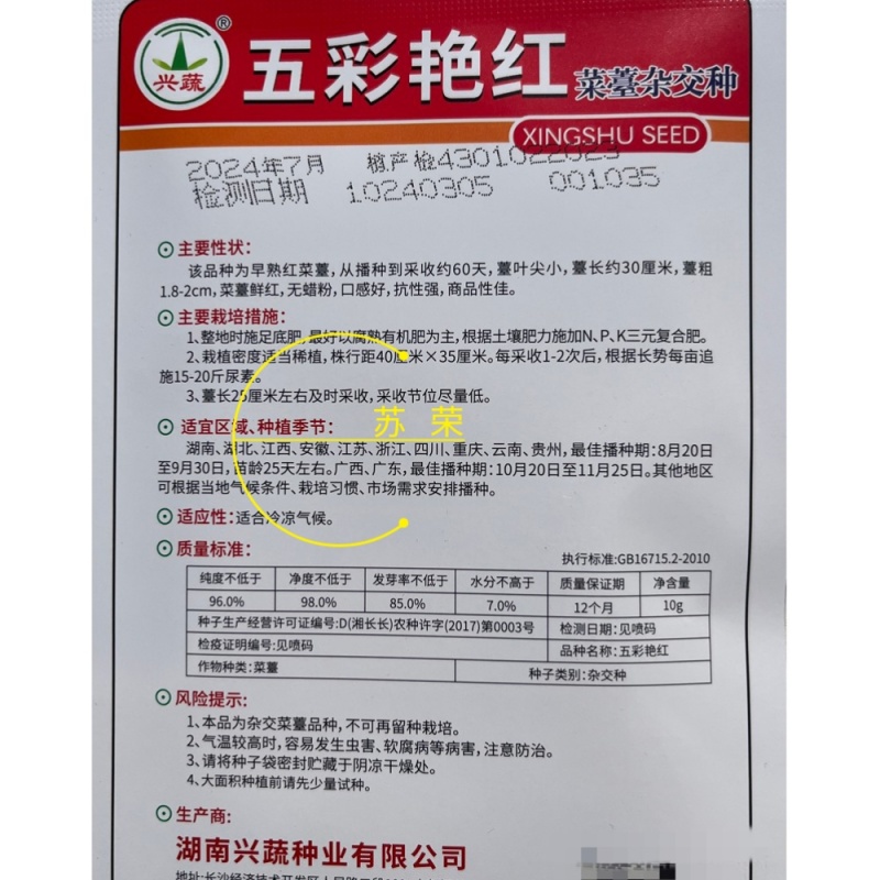 兴蔬五彩艳红早熟60天红菜苔种子紫红菜苔鲜红无蜡粉耐寒甜