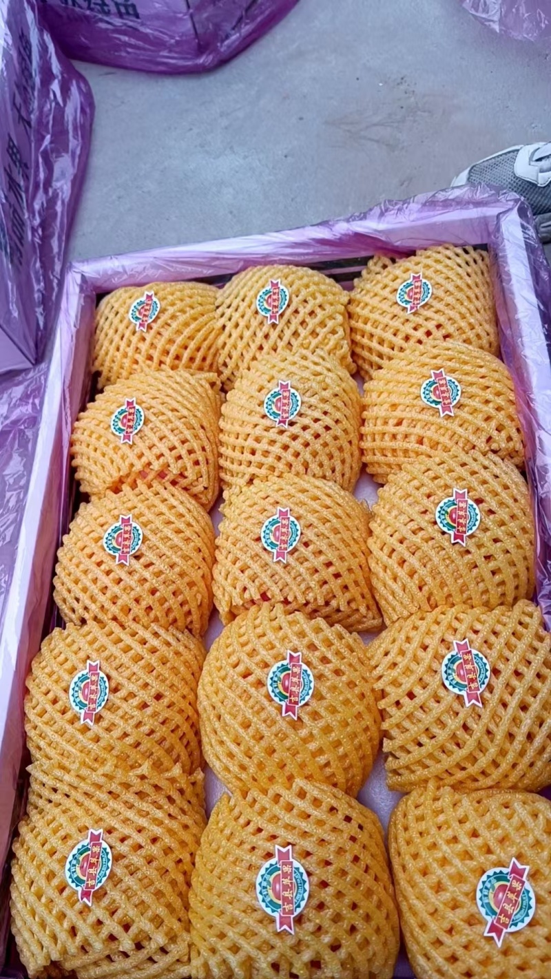 吉县红富士苹果