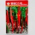 兴蔬博辣25号辣椒种子长线椒种籽味香辣条椒尖椒青红椒种籽