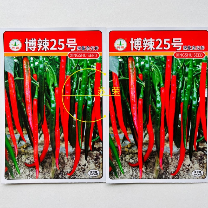 兴蔬博辣25号辣椒种子长线椒种籽味香辣条椒尖椒青红椒种籽