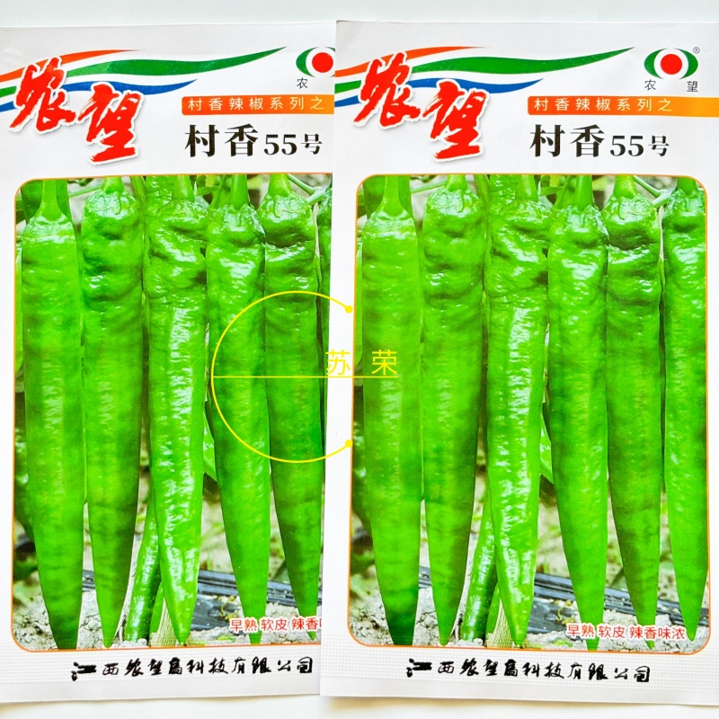 村香55号辣椒种子早熟杂交羊牛角椒皮薄微皱软皮口感好