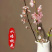 鲜切桃花枝50-60公分