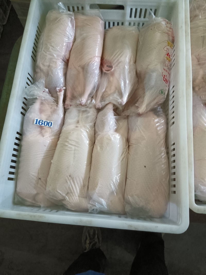【精品白条鸭】厂家直发量大价优对接全国各级市场欢迎致电咨