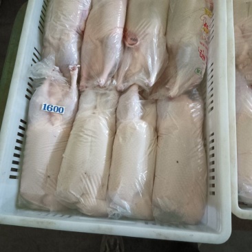 【精品白条鸭】厂家直发量大价优对接全国各级市场欢迎致电咨