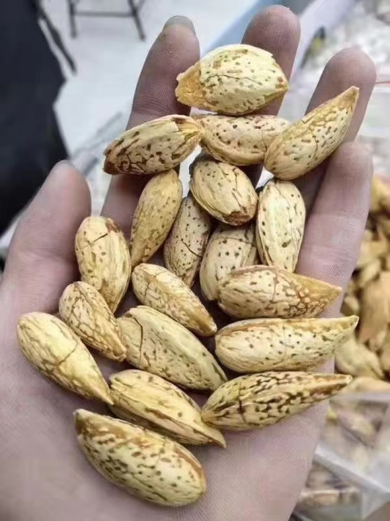 刀果，巴旦木刀果，电商**，全国发货质量三包！价格低。