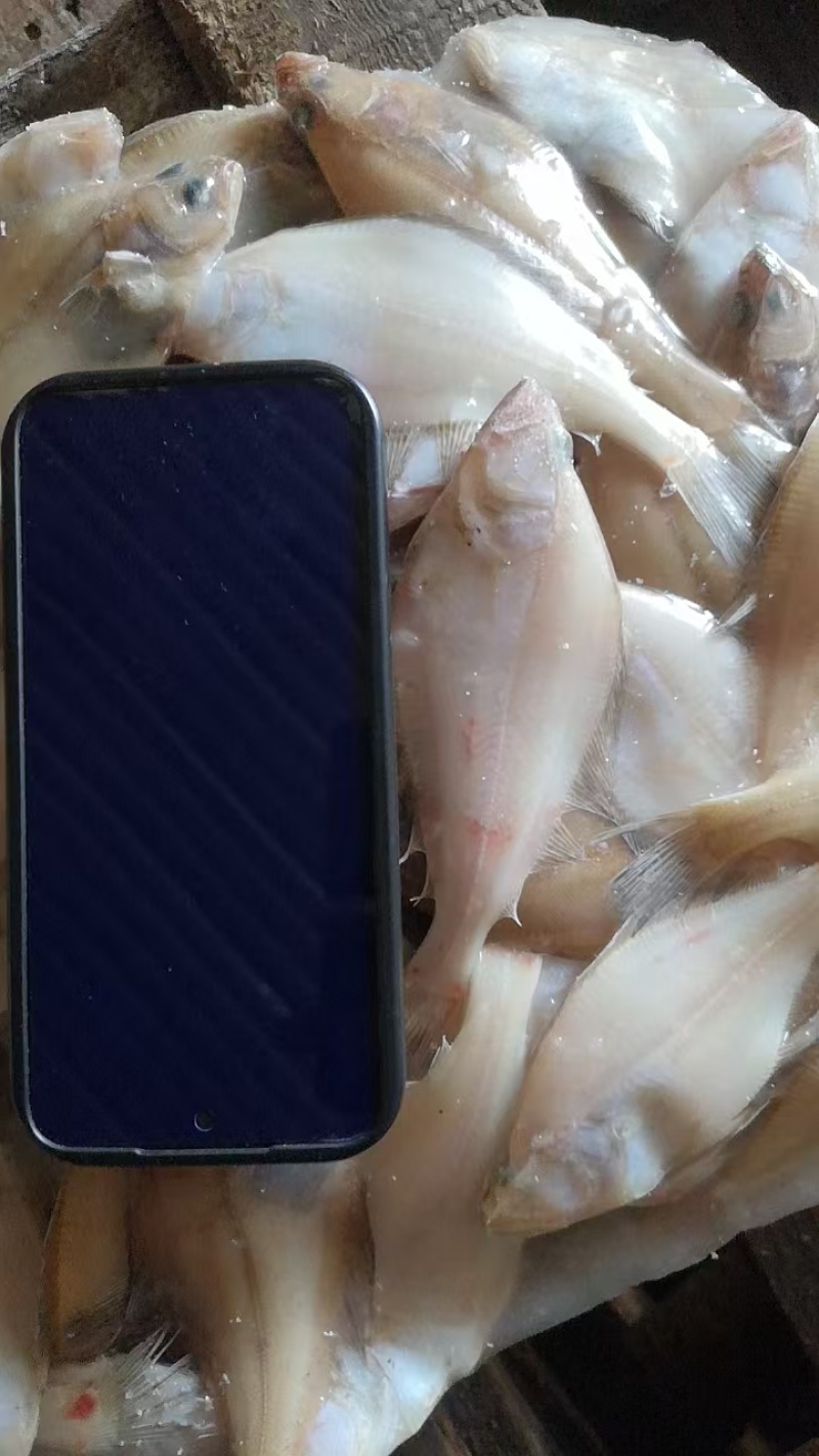 片口，多大规格都有