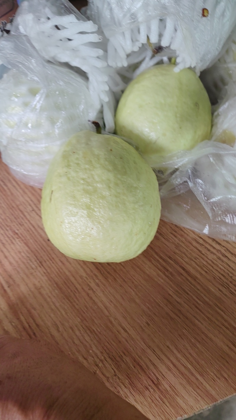 专业西瓜红珍珠白红宝石胭脂红品种！市场果！电商果工厂果！